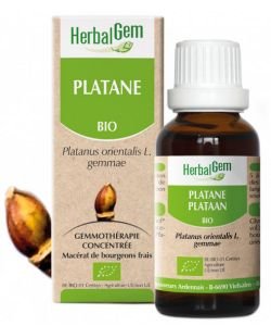 Platane (Platanus orientalis) bourgeon BIO, 30 ml